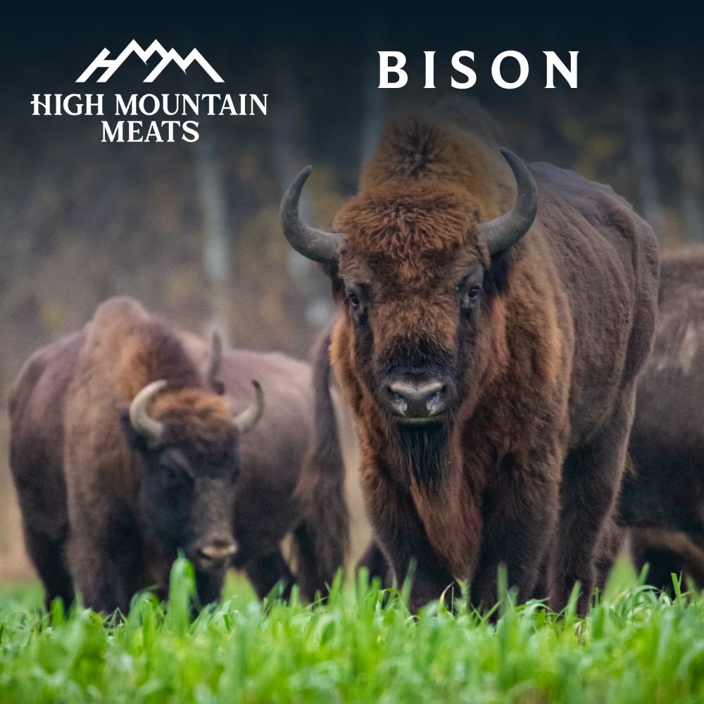 Bison